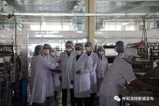 新城區(qū)市場監(jiān)督管理局開展食品生產(chǎn)廠專項檢查，筑牢餐飲安全防線