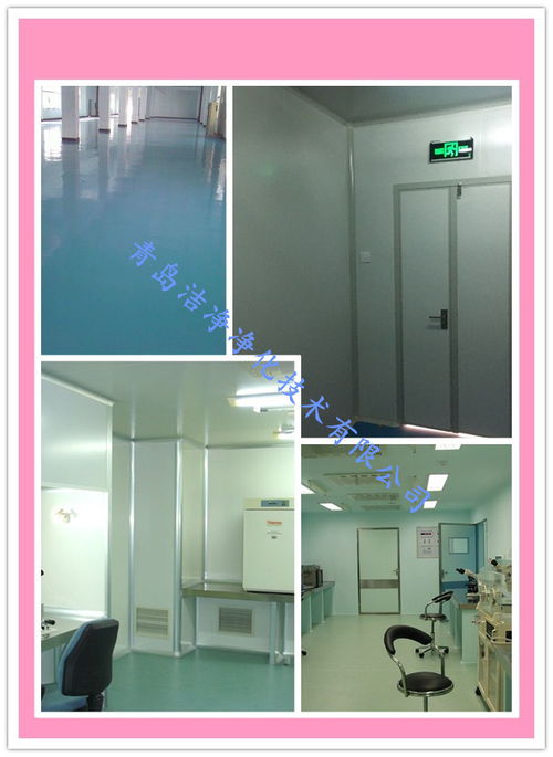 東營(yíng)凈化工程化妝品gmp潔凈車間潔凈室安裝施工