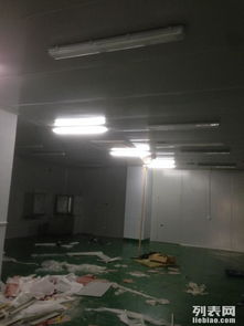 金山石化區食品廠專業凈化工程 彩鋼巖棉板隔斷、車間隔墻與工裝裝修一體化解決方案